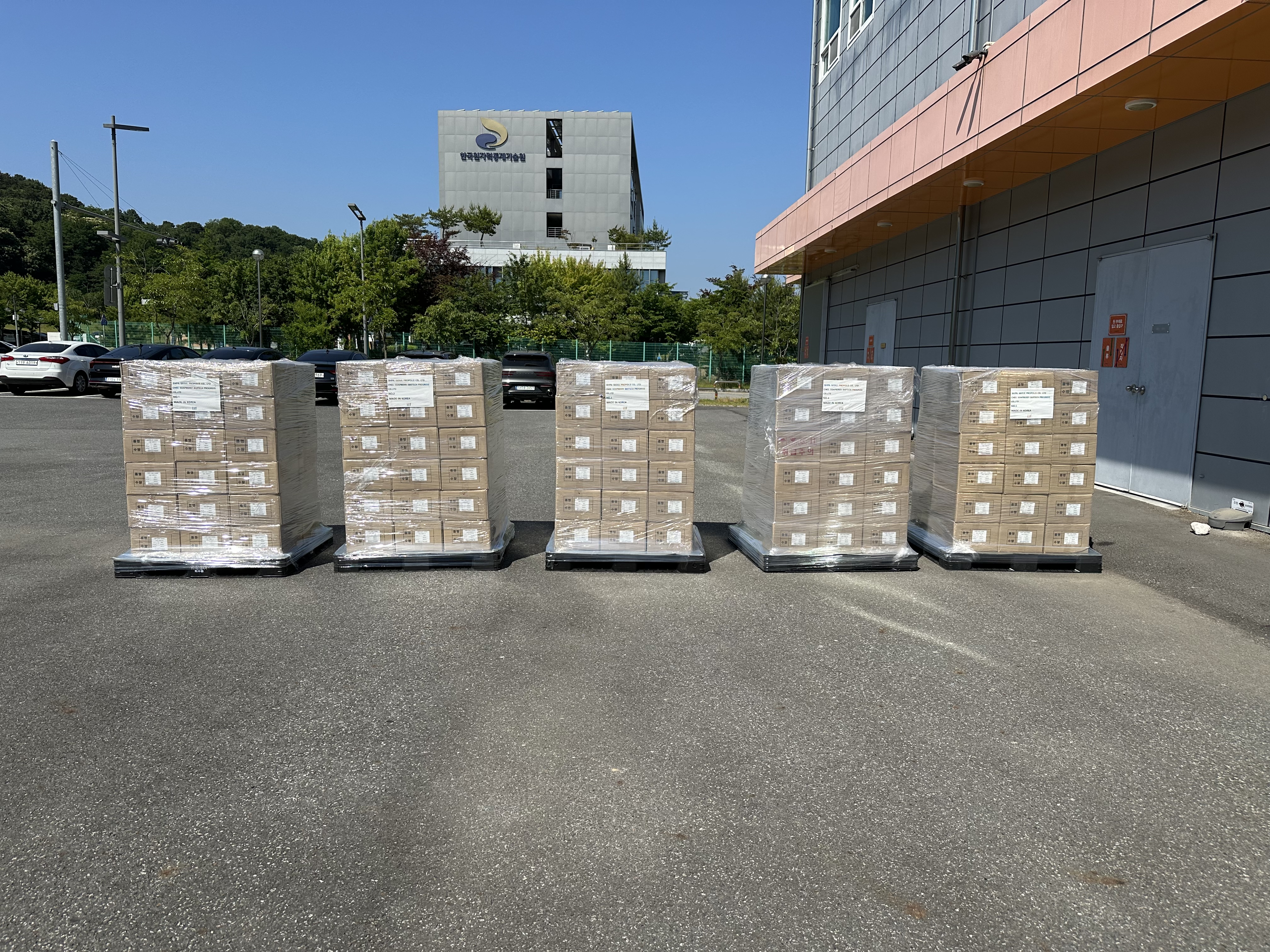 [수출 소식]프로비 365치약, 대만에 세 번째 수출